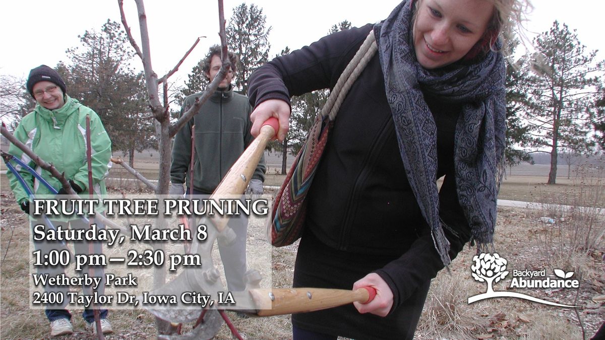 Fruit Tree Pruning