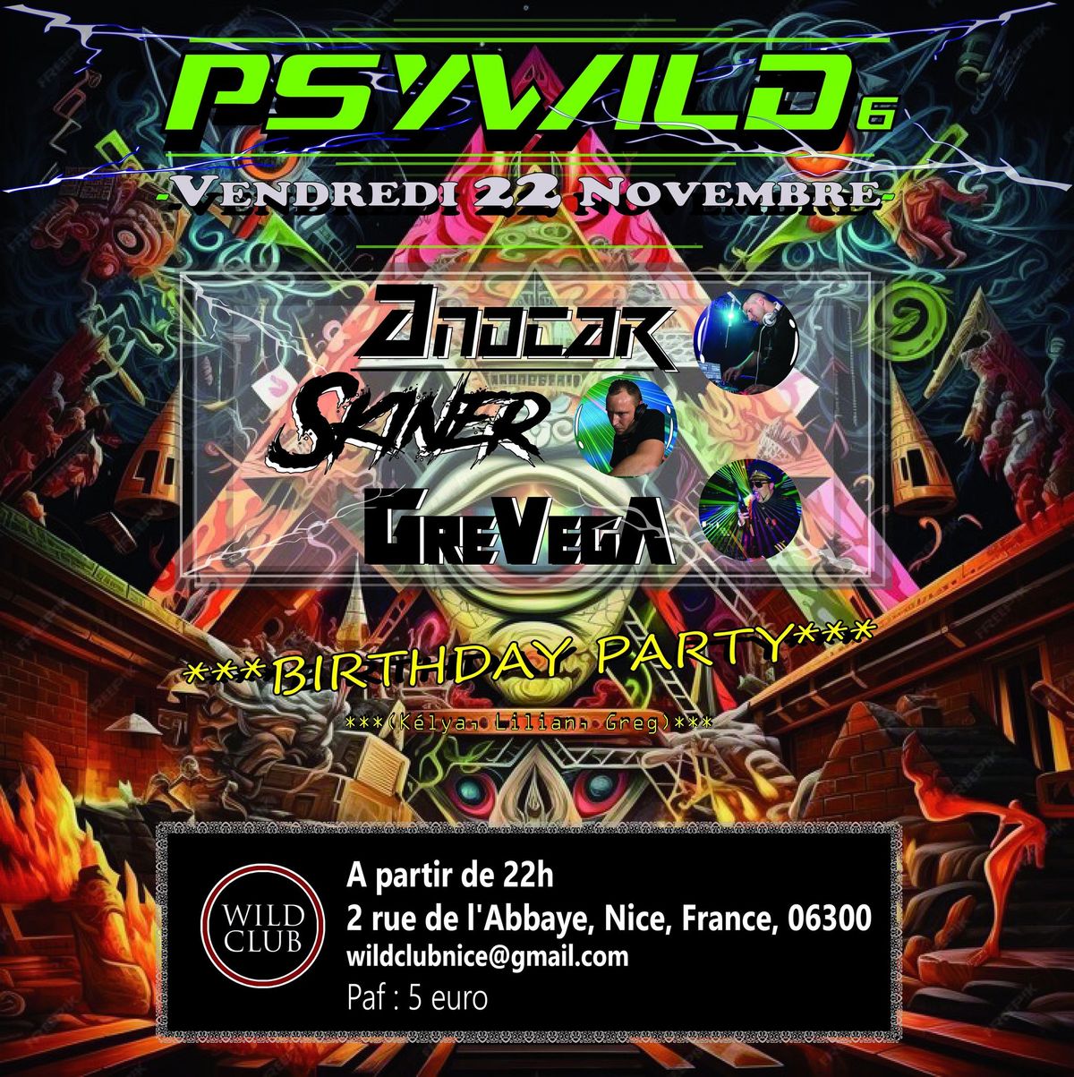 PSYWILD Party