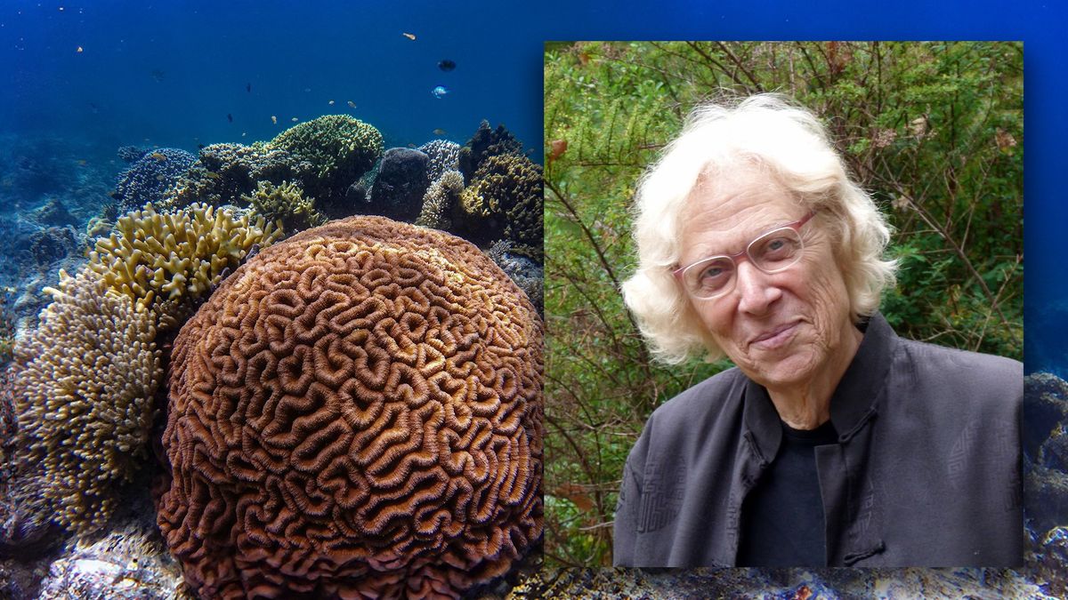 Edward P. Bass Distinguished Lecture: Coral Reef Odyssey