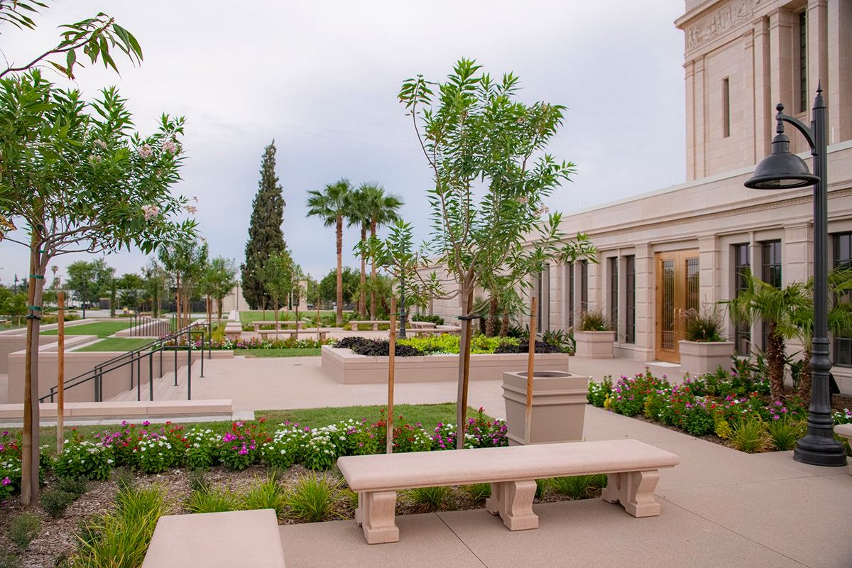 Parking The Book of Mormon - Tempe