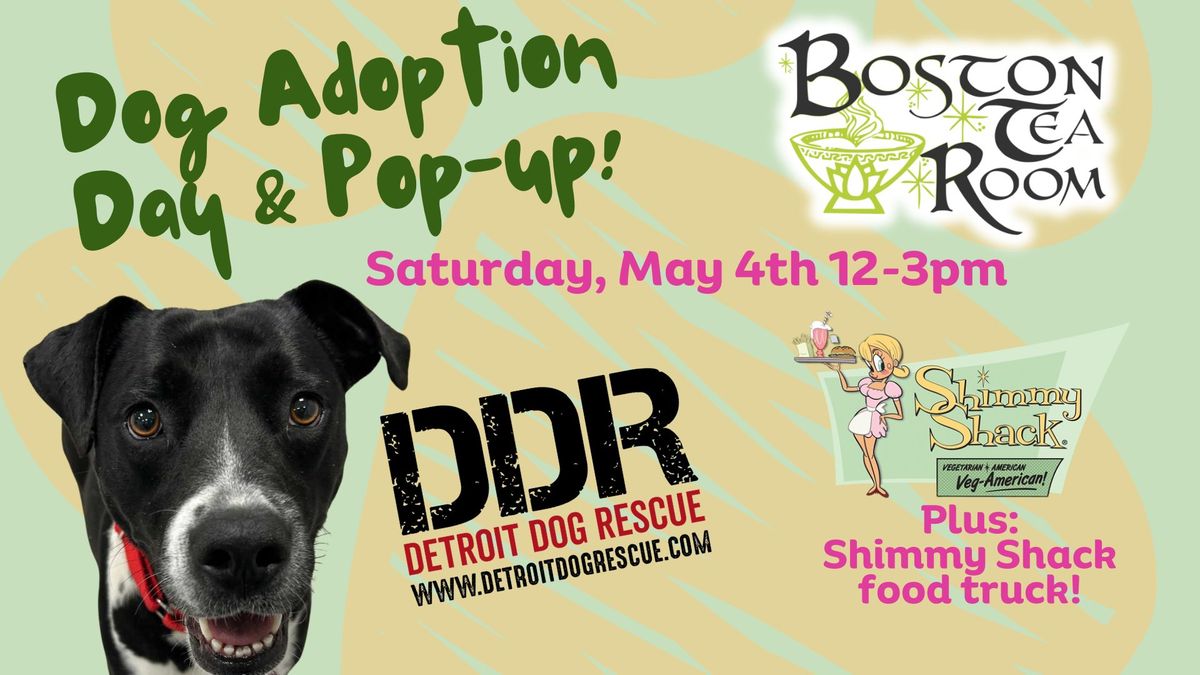 Dog Adoption & Pop-Up Event