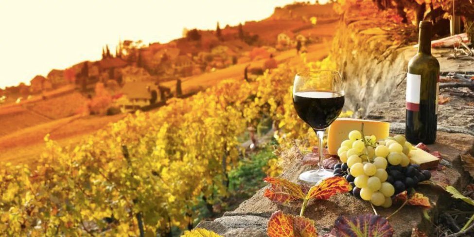 FIVE COURSE TUSCAN WINE DINNER