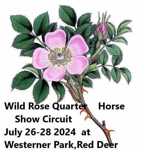 Wild Rose Quarter Horse Circut