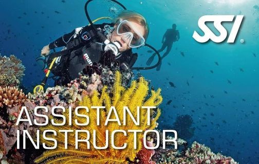 SSI Assistant Instructor Kurs