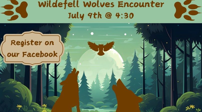 Wildefell Wolves Encounter