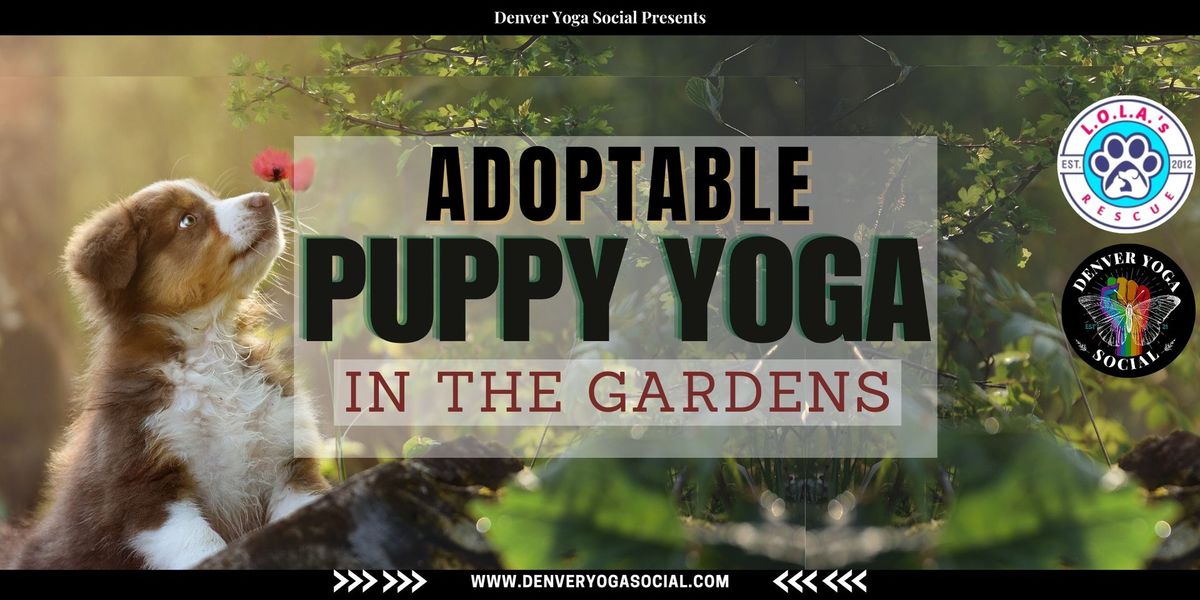 Puppy Yoga in the Garden