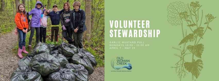 Mustard Mondays: A Volunteer Stewardship Opportunity at Old Woman Creek Reserve