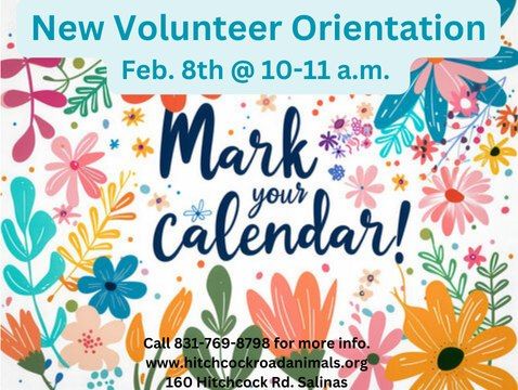 New Volunteer Orientation 