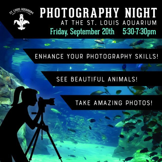 Photography Night at the St. Louis Aquarium