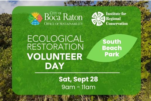 Dune Restoration Volunteer Event at South Beach Boca Raton