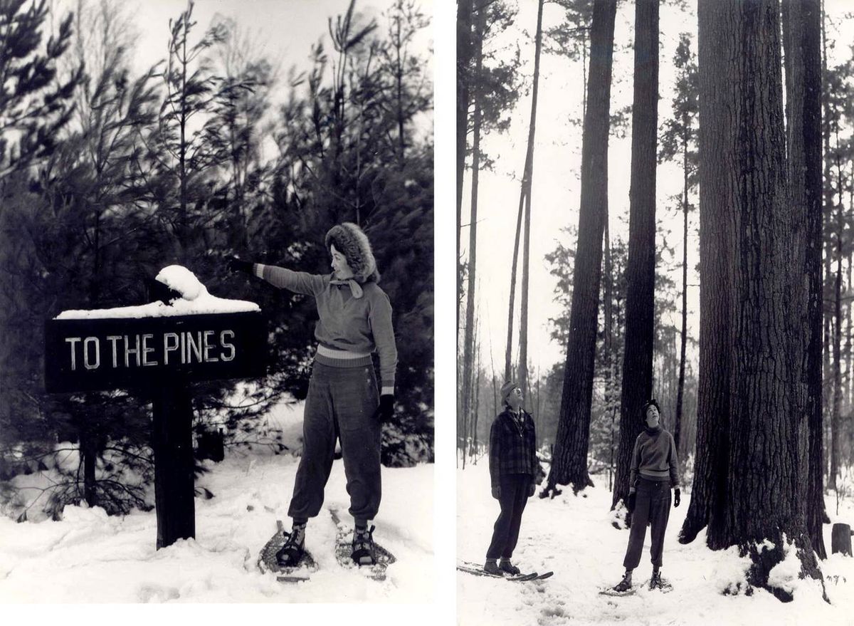 Guided Snowshoe Hike