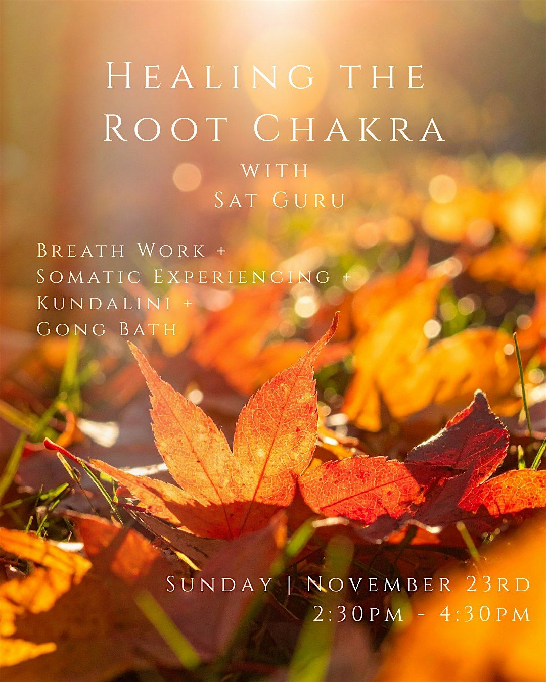 Healing the Root Chakra - Dec 14th