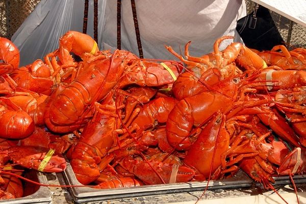 Long Beach Lobster Festival 2019