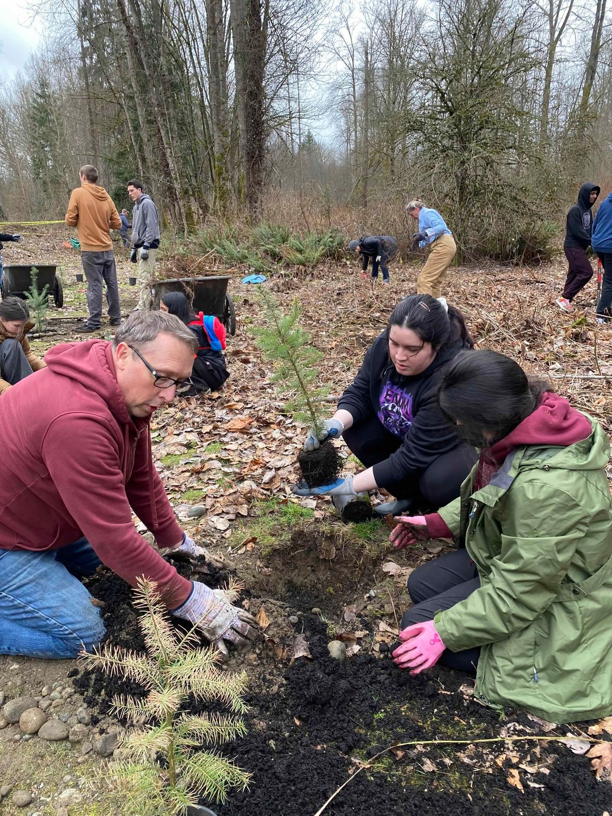 3\/15 Swamp Creek Habitat Restoration Project - Wallace Swamp Creek Park