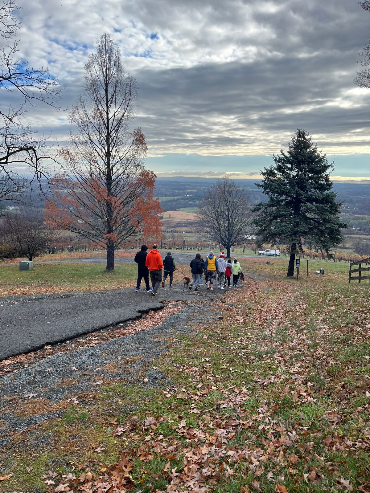 The Jan Plan Hike + Hill Climb at Dirt Farm Brewing