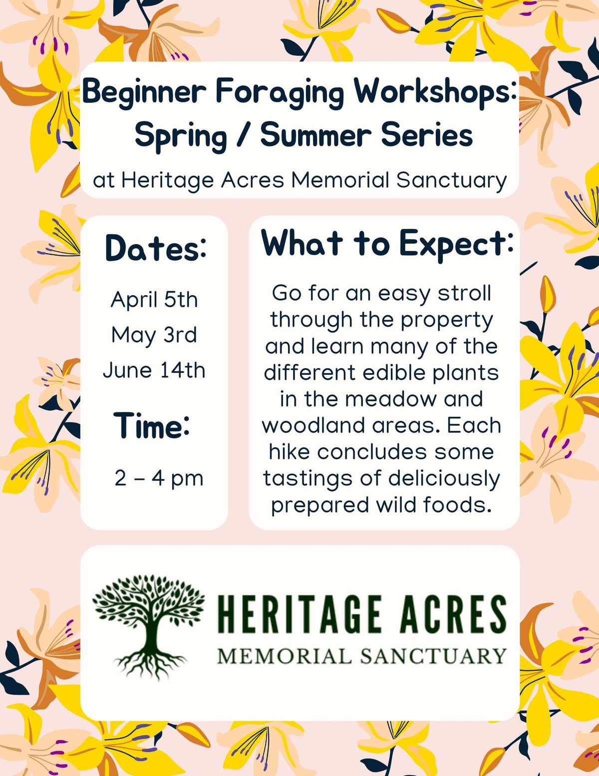 Beginner Foraging Workshop - Spring \/ Summer Series