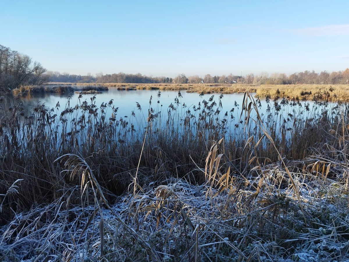 Winterwandeling in het Molsbroek