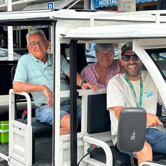 Tour en tuk tuk el\u00e9ctrico: M\u00e1laga
