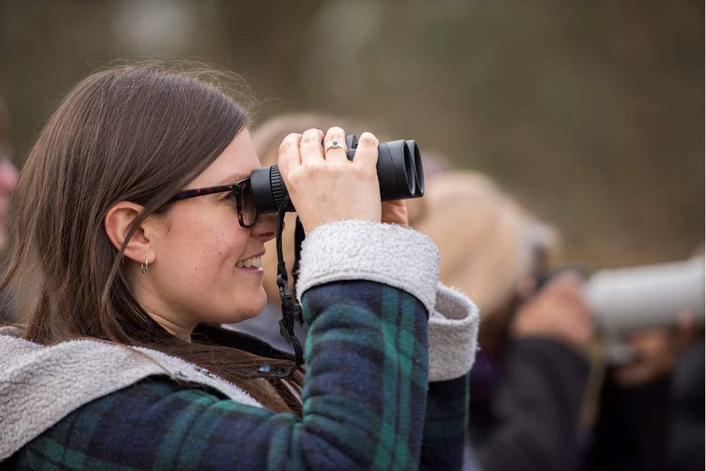 Hire a guide at RSPB Ham Wall!