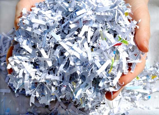 Spring 2025 Shred Event