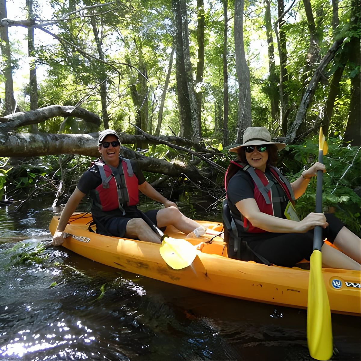 Exclusive Nature Escape Kayak Adventure on Blackwater Creek