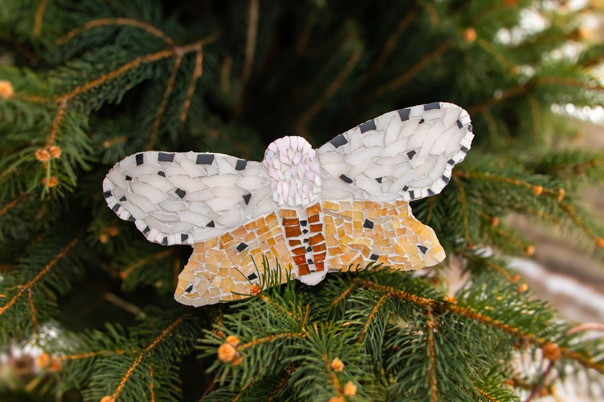 Mosaic Glass Workshop: Lepidoptera! Butterflies and Moths