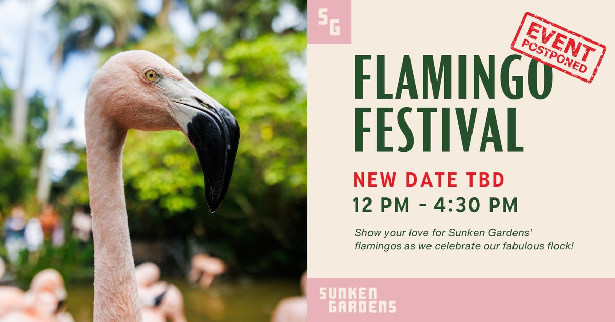 Flamingo Festival