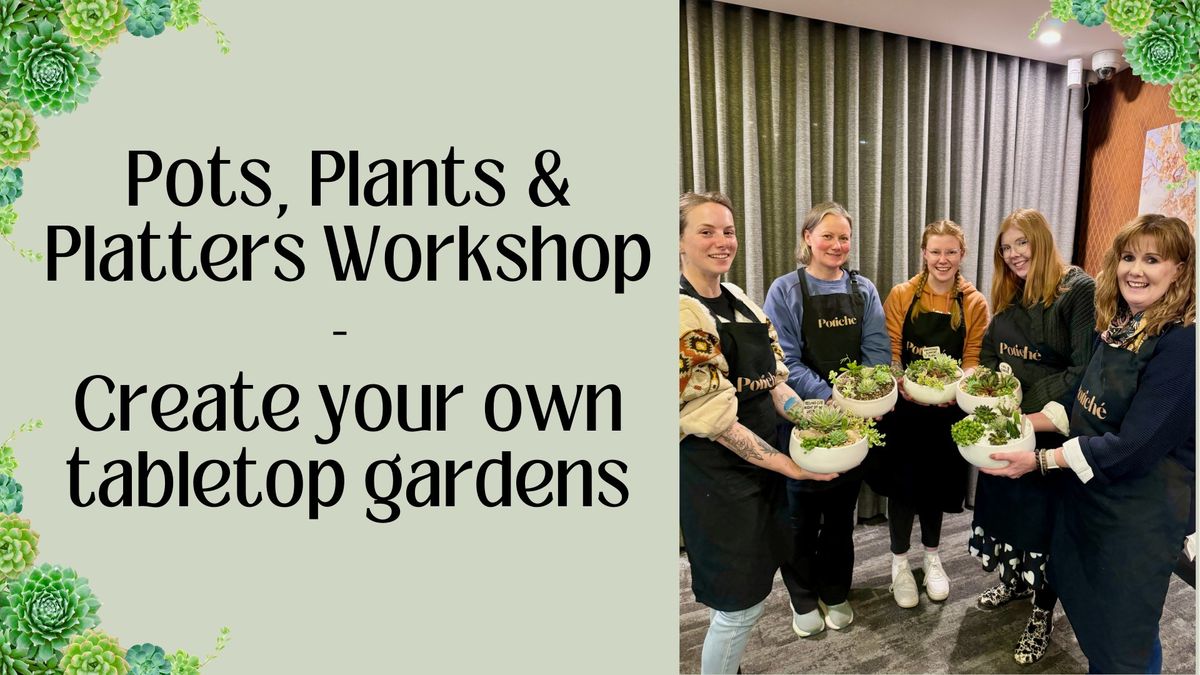 Pots, Plants and Platters Workshop - Create your own tabletop garden