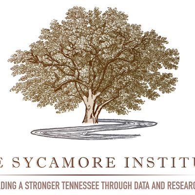 The Sycamore Institute