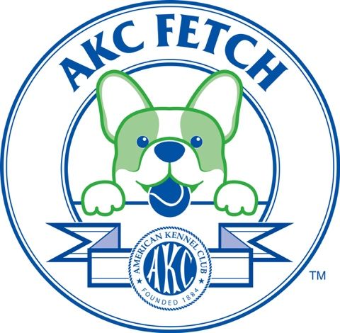AKC Fetch Trials (2 trials with 2 different judges)