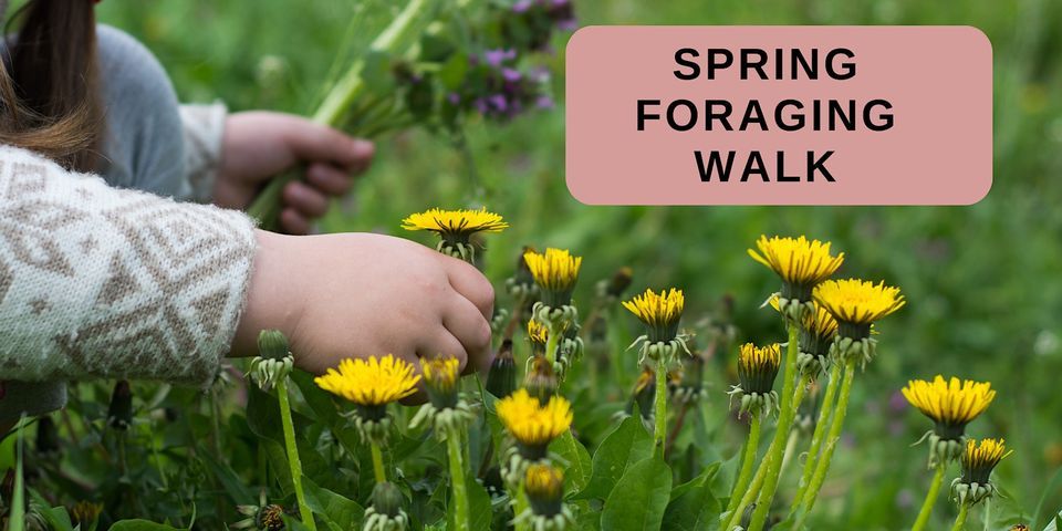 Spring  Foraging Walk