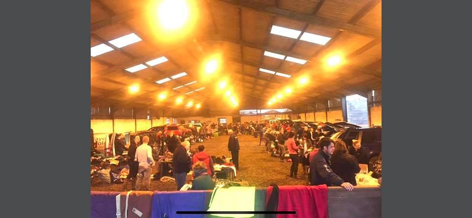 Equine CAR BOOT Sale