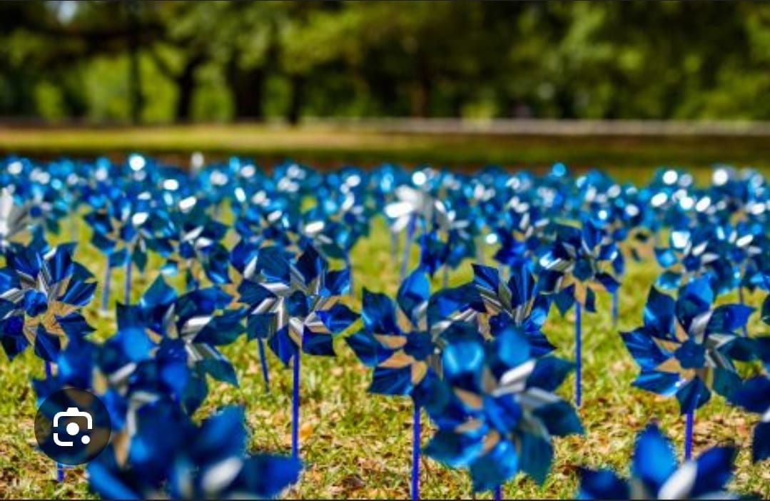 Brazoria County's Go Blue! Pinwheel Ceremony