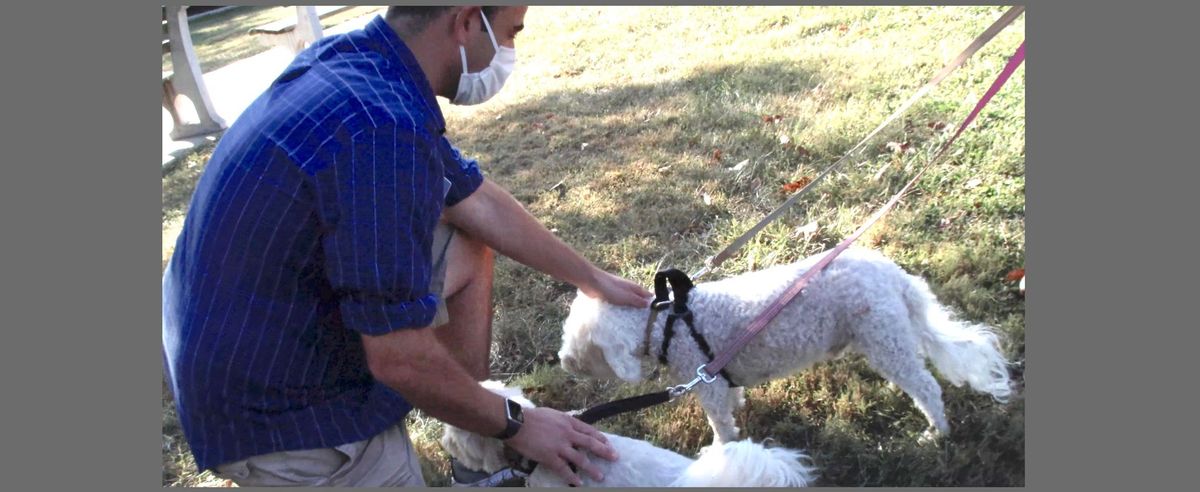 Blessing of the Animals