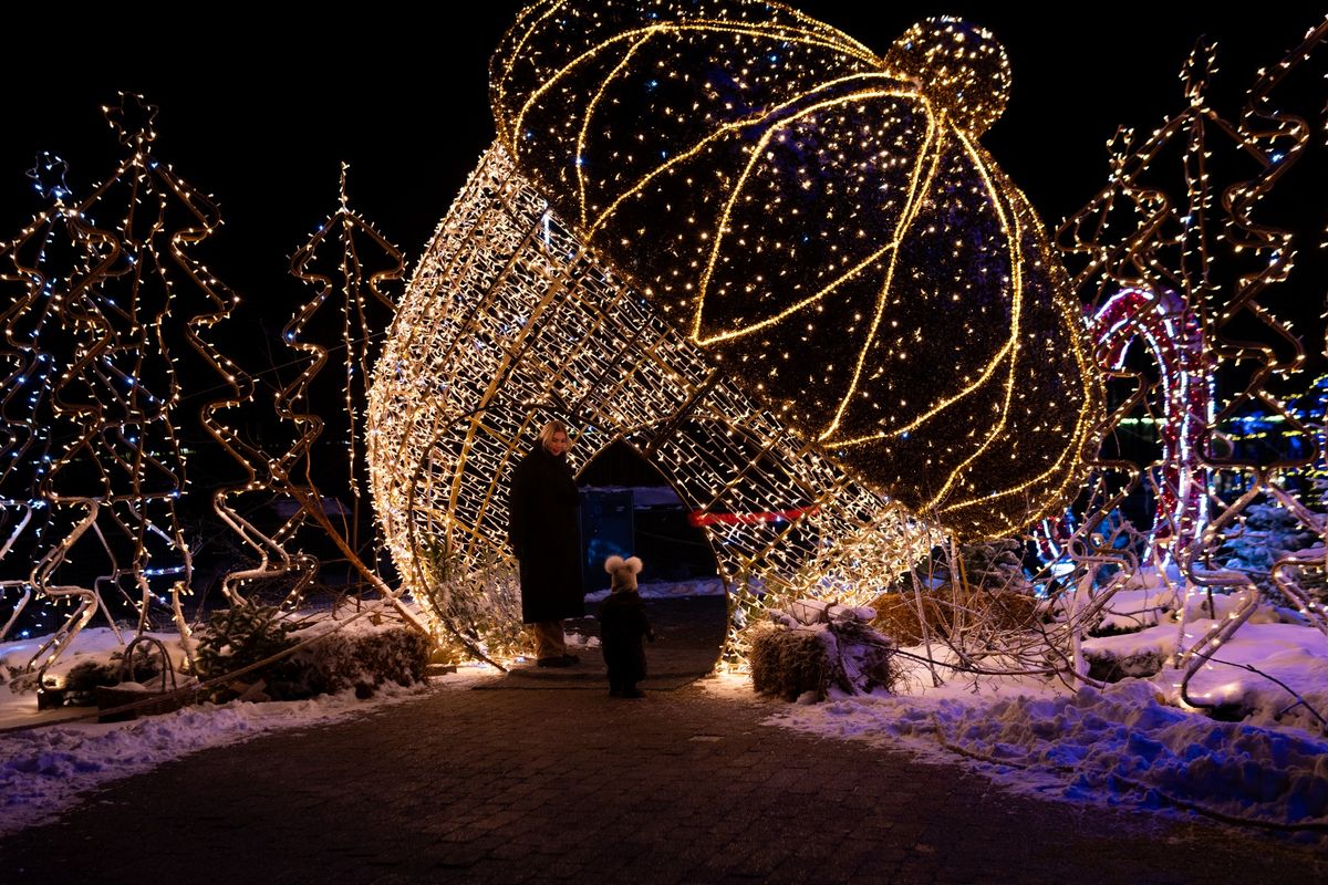 Juleaften i Aalborg Zoo\u2728