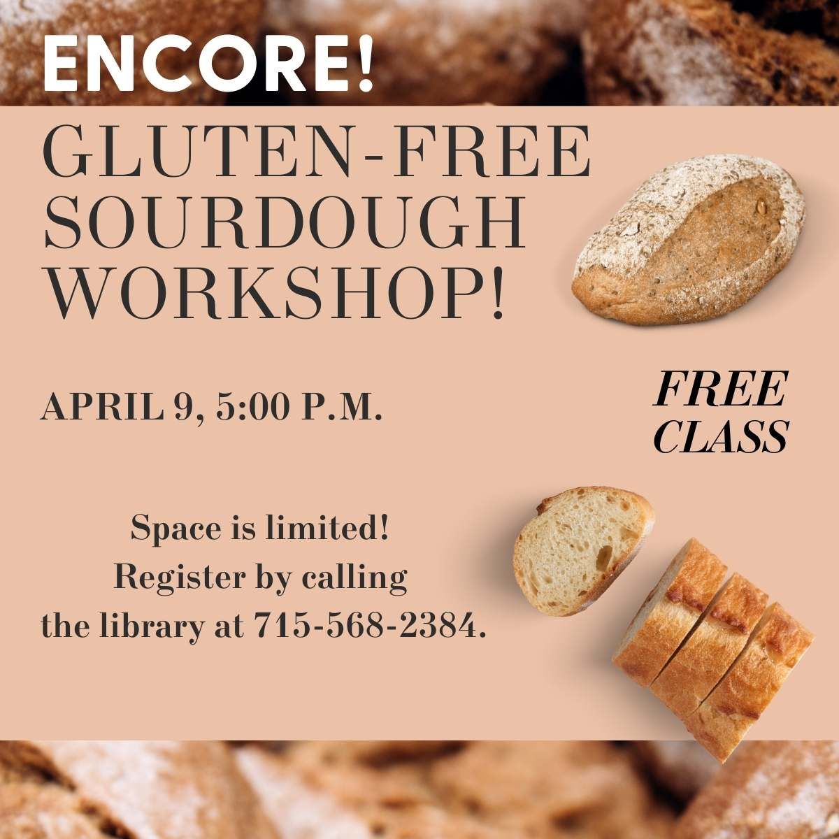 Encore! Gluten-Free Sourdough Workshop 