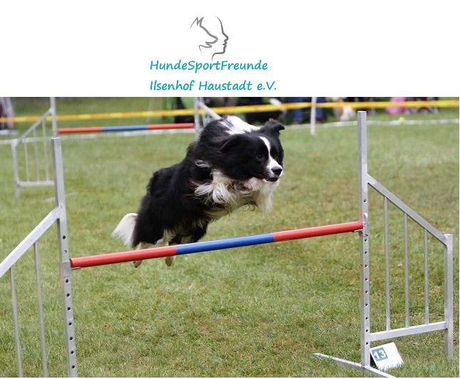 7.Agility Turnier