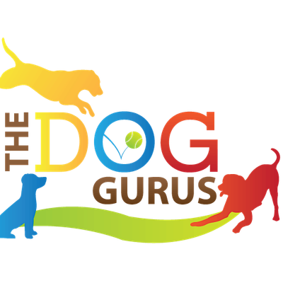 The Dog Gurus