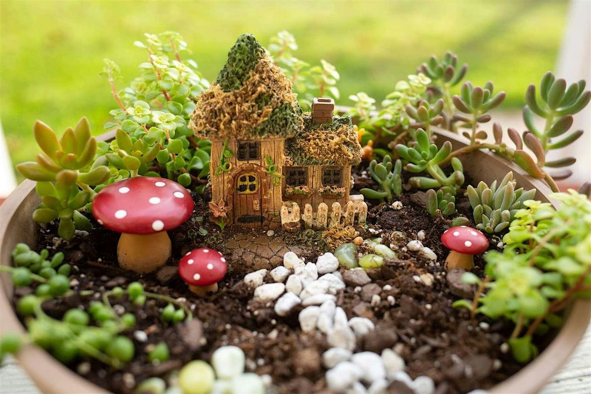 Large Fairy Garden Workshop