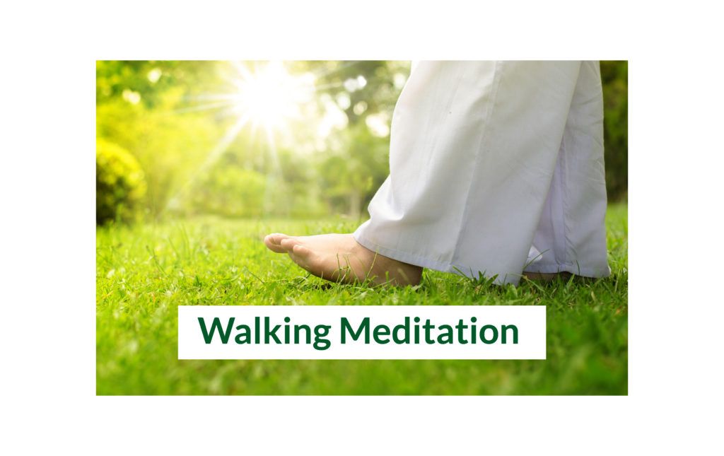 Walking Meditation at Bradley Park 