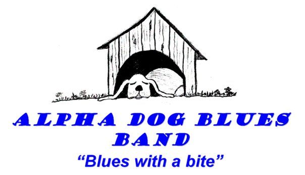 Alpha Dog Acoustic Ensemble at Matchbox, Saturday night, Ashburn, VA