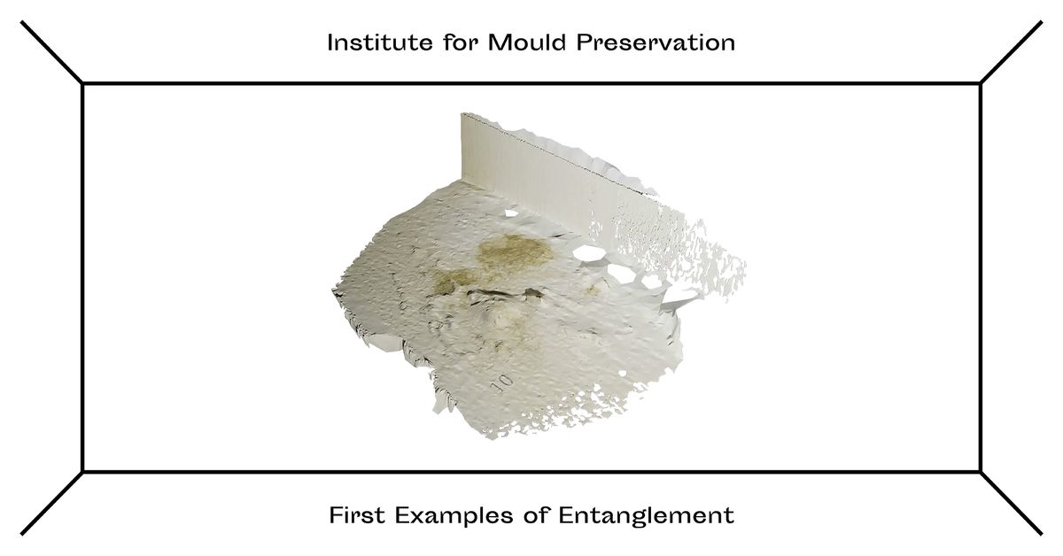 Viewing of the space for public entanglement IfMP