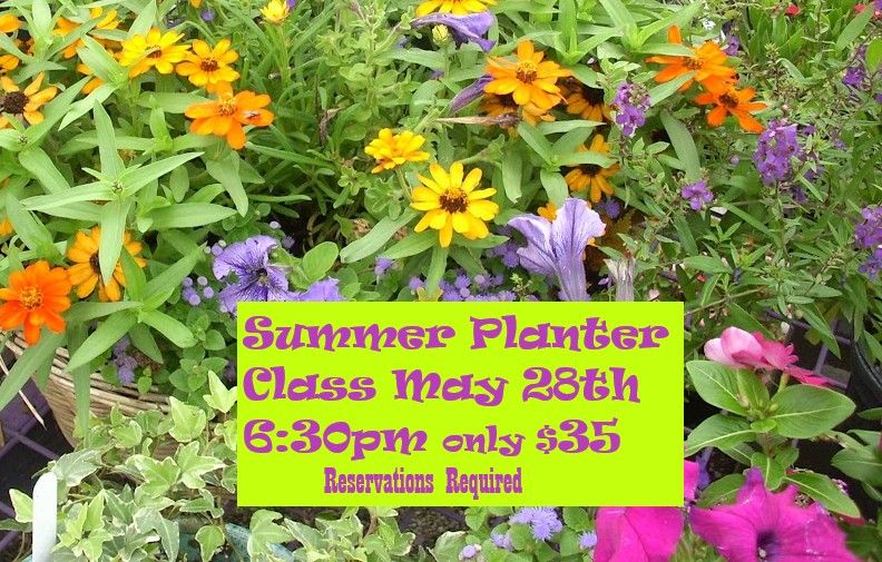 Summer Planters
