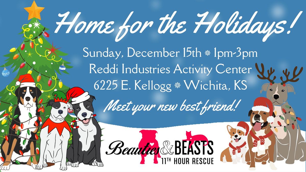 Home for the Holidays - Adoptable Dogs Meet & Greet