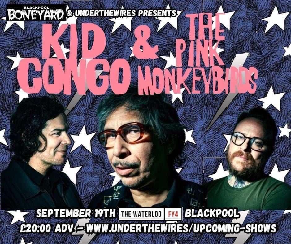 Kid Congo and The Pink Monkey Birds