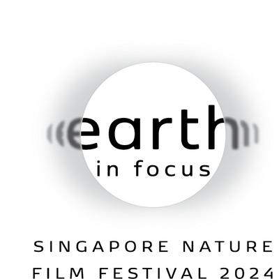 Earth In Focus