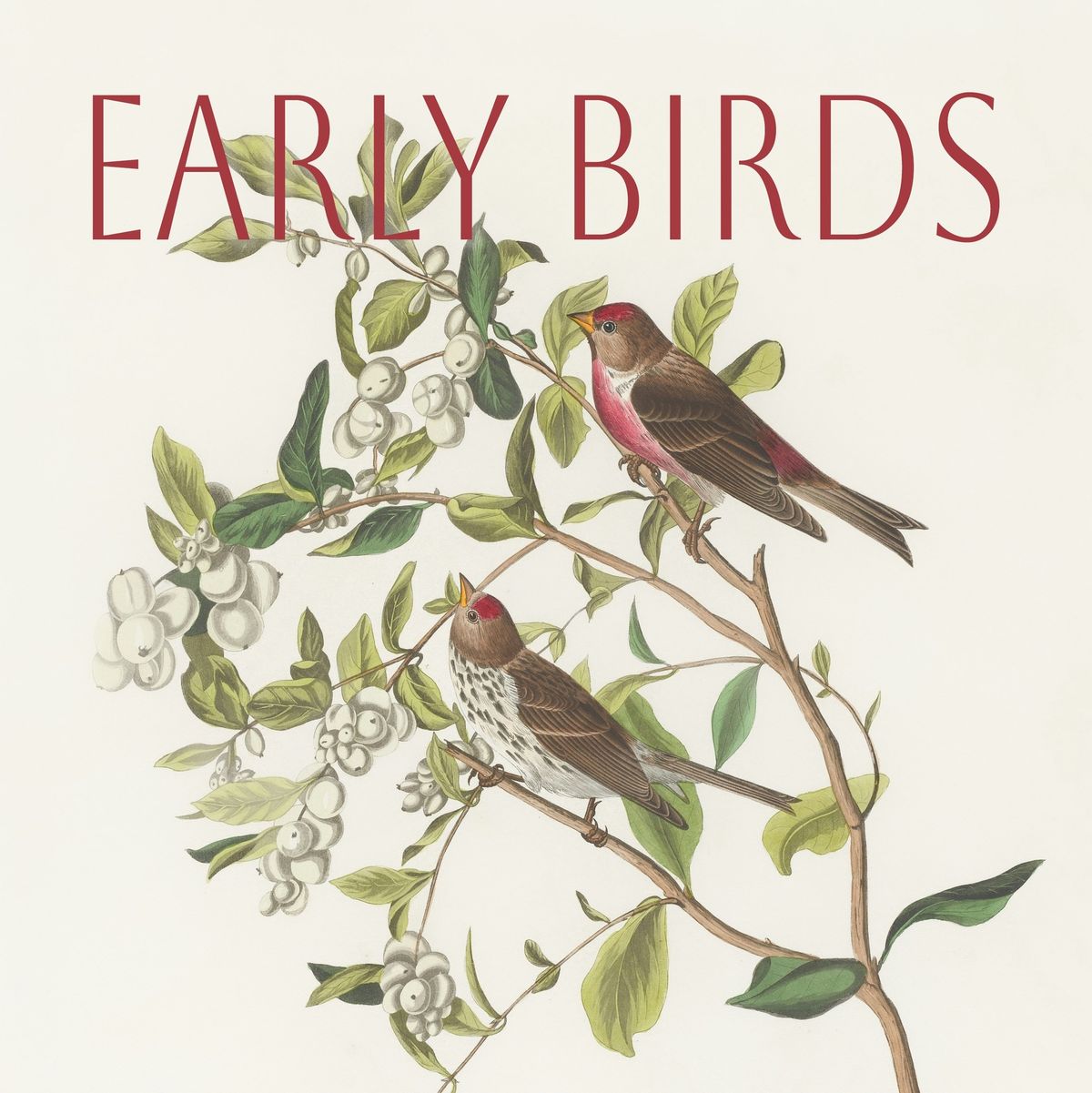 Early Birds - Lintujen inspiroimaa barokkimusiikkia