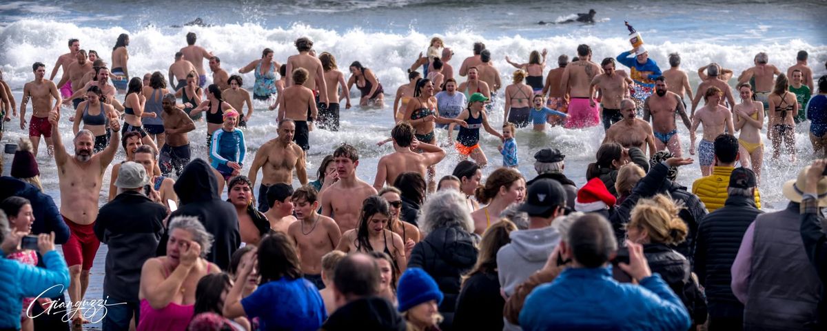 Pier Plunge 2025 - Narragansett