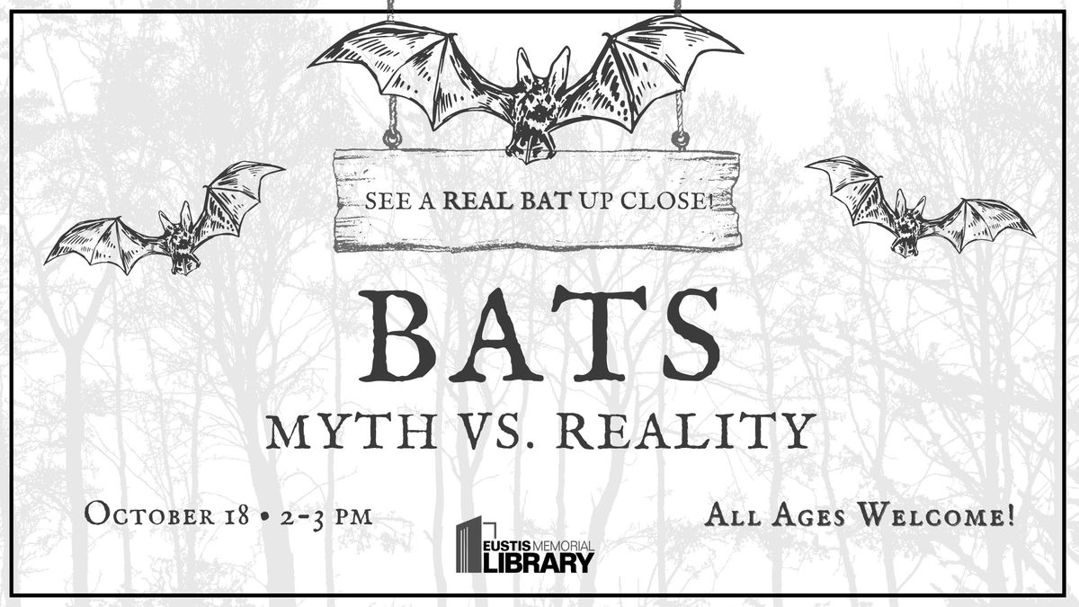 Bats : Myth vs. Reality