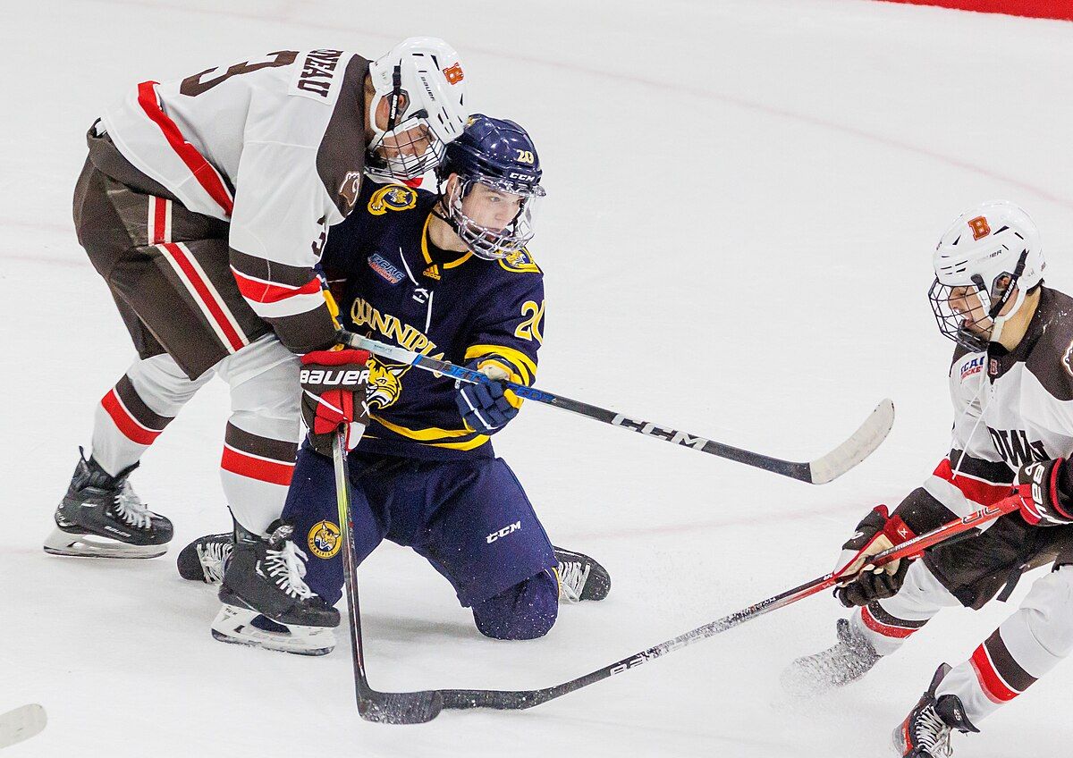 Brown Bears at Quinnipiac Bobcats Mens Hockey